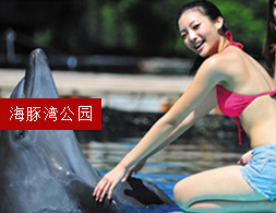 太平洋海豚公園